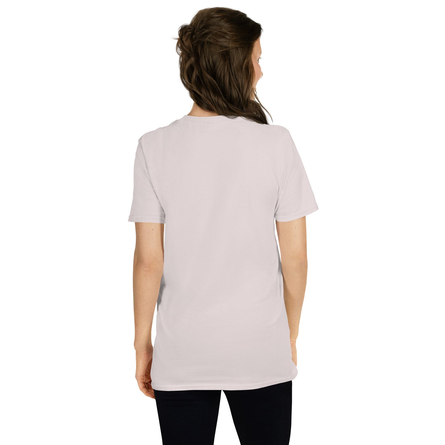 Festina Lente Graphic T-Shirt – Ice Grey, Back View (Model)
