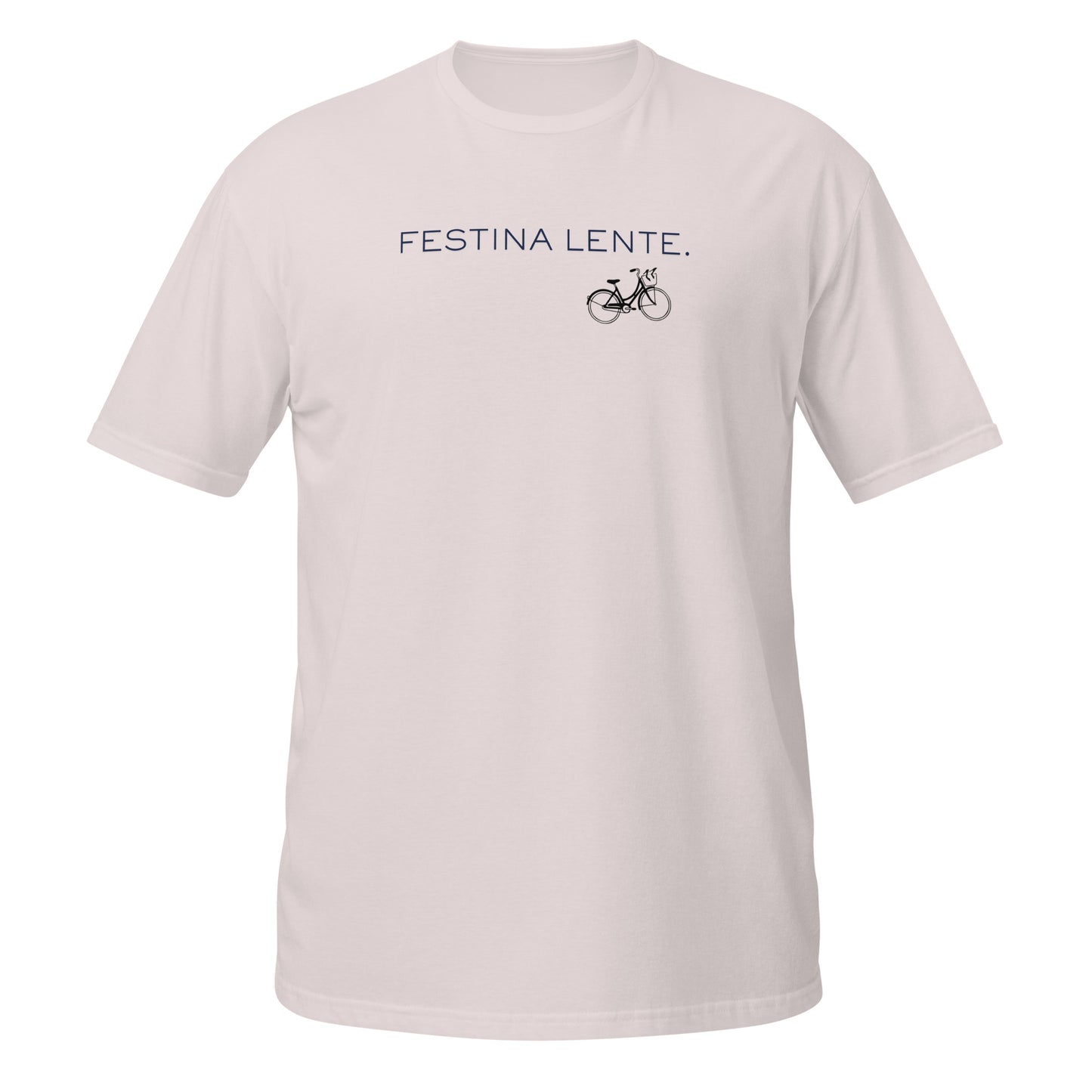 Festina Lente Graphic T-Shirt – Ice Grey, Front View